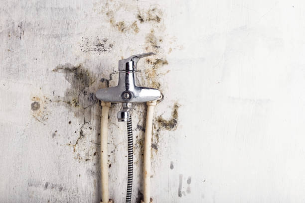 Mcadoo, PA Mold Removal Company