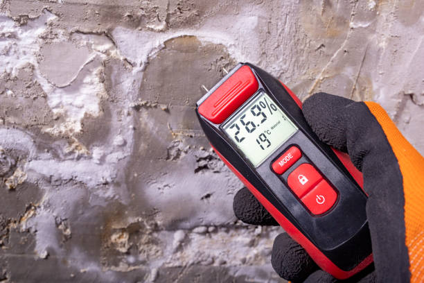 Best Mold Testing and Removal  in Mcadoo, PA