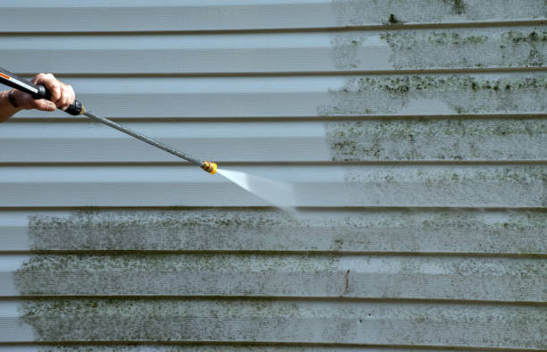 Attic Mold Removal in Mcadoo, PA