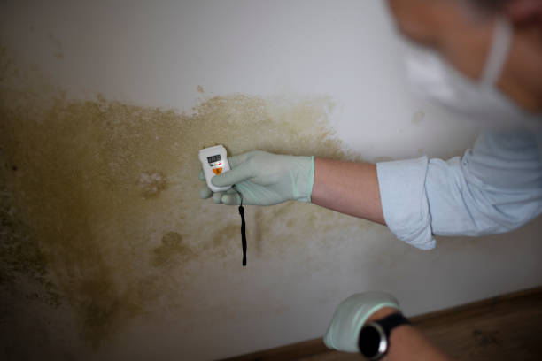 Best Crawl Space Mold Removal  in Mcadoo, PA
