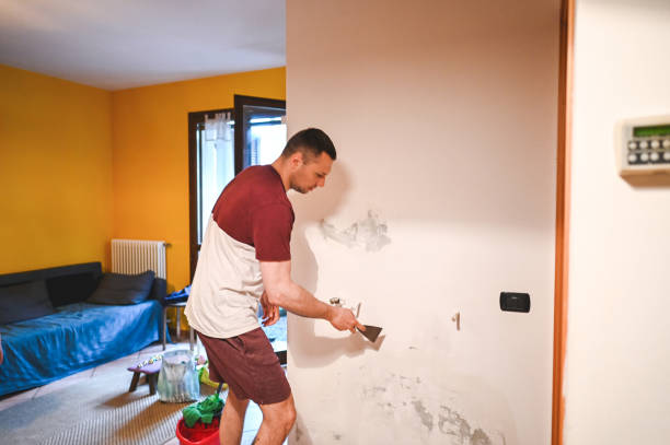 Best Commercial Mold Removal  in Mcadoo, PA
