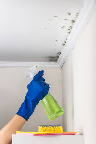 Best Mold Testing  in Mcadoo, PA